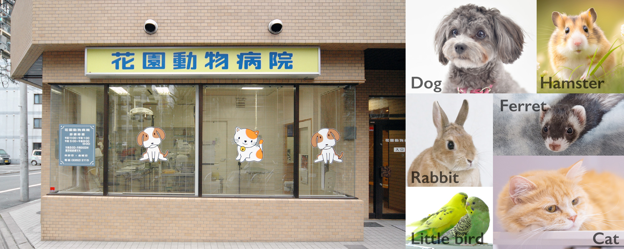 花園動物病院は犬 イヌ・猫 ネコ・ウサギ・ハムスター・フェレット・小鳥などを診療